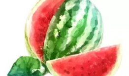 吃瓜网小鱼海棠,揭秘吃瓜网上的神秘魅力