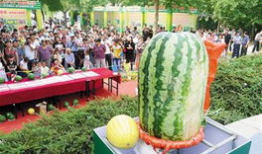 吃瓜网每日大赛入口,入口开启狂欢盛宴！