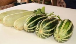 网红吃瓜爆料. com,揭秘娱乐圈幕后真相